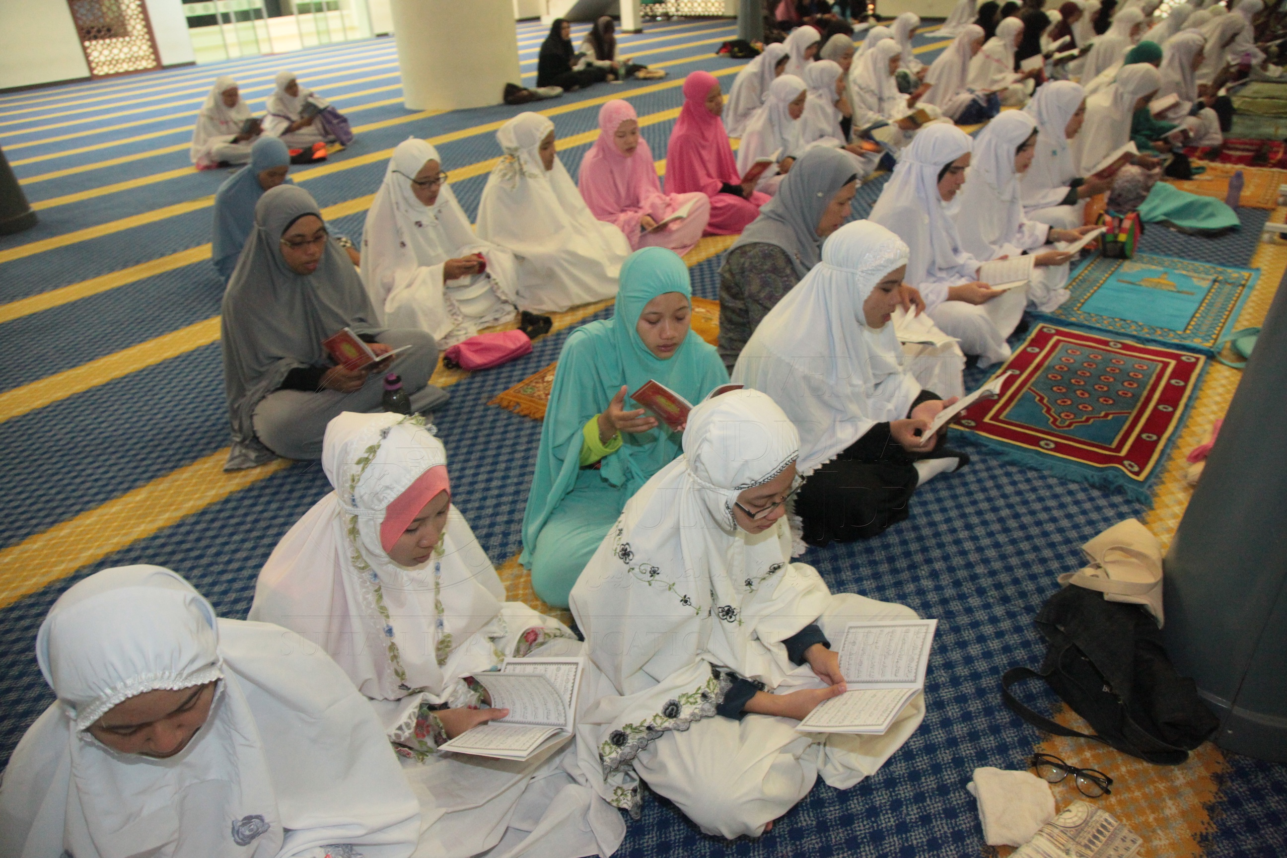 PRO16 20 yassin IMG 0362